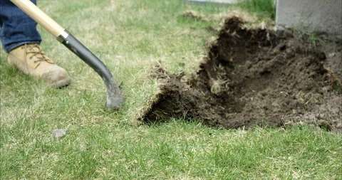 Man digging up sod grass to make rock garden - close up - side profile Video stock 130993439