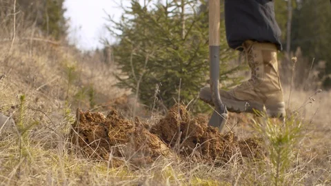 Man digging a soil near the forest Stock Footage 129145099