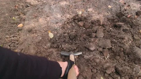 Man Digging A Vegetable Garden Stock Footage 164192424