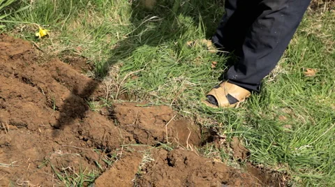 Man diging ground in his garden in spring time Stock Footage 4280656