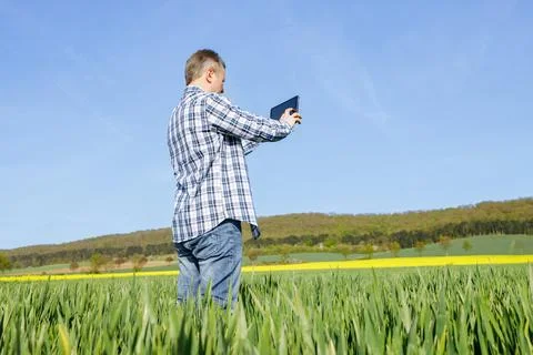 A man with a digital tablet in his hands in a rye field. The farmer inspects the Stock Photos