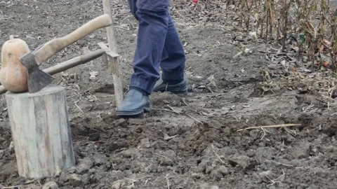 A man digs black earth with an old shovel in the garden Видео 228676673