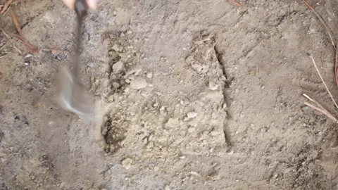 A man digs a fire pit with an axe. Deepening in the ground for coals, branches Stock Footage 137719060