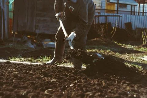 The man digs the garden Stock Photos