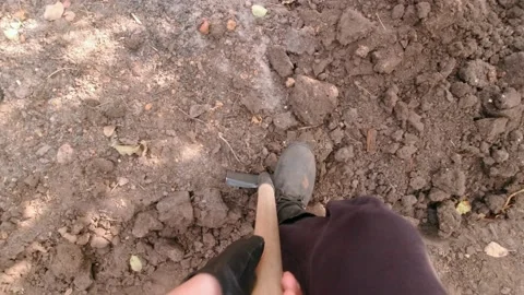 A Man Digs The Ground Stock Footage 163907290