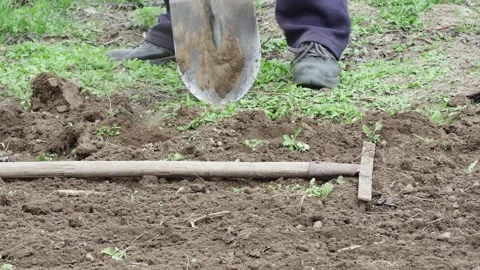 A man digs his spring garden with a shovel Vídeos de archivo 237012125