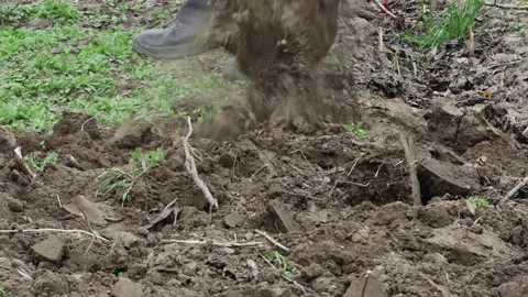 A man digs his spring garden with an old shovel Vídeos de archivo 237012217