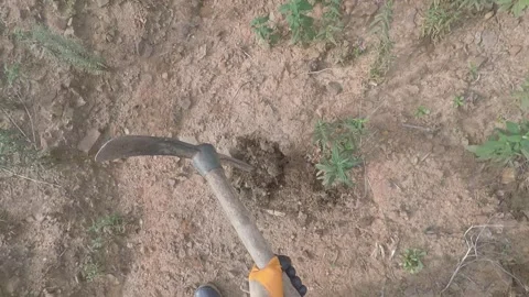 A man digs a hole in the ground with an ax Video stock 148025546