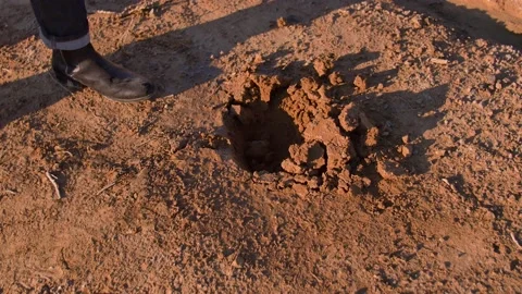 A man digs a hole in the ground with a shovel in a desert, in Spain Stock Footage 208809221
