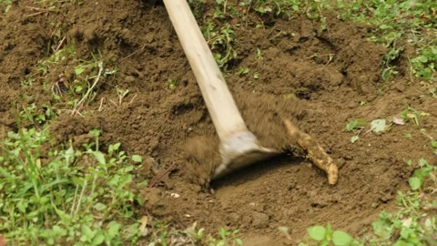 Man digs a hole in the ground with a spade to plant a tree, in Darjeeling, India Stock Footage 238786926
