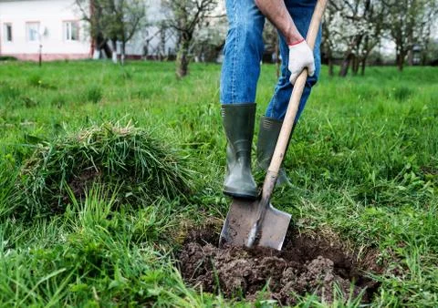 Man digs a hole Stock Photos
