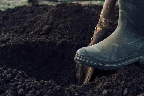 Man digs a hole Stock Photos