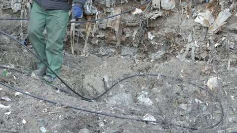 Man digs optical communication cable Stock Footage 74524593