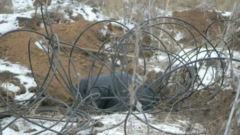 Man digs optical communication cable Stock Footage 99899881