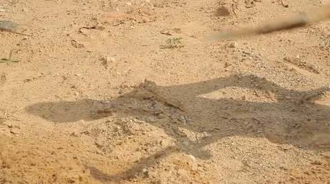 A man digs a pit. a shadow of the man on the move. Stock Footage 58147208