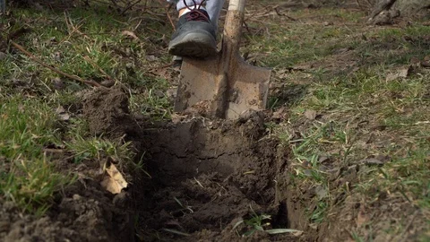 A man digs a trench, a man digs the ground with a shovel Stock Footage 125809543