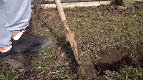The man digs a trench, the man digs the ground with a shovel Stock Footage 125809554