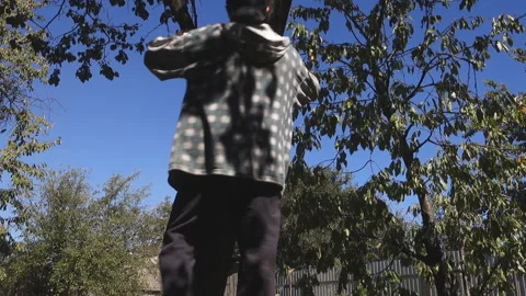 A man in dirty clothes climbs a tree. Stock Footage 210360278