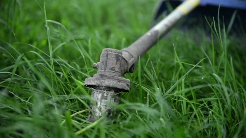 A man dismantles a lawn mower to replace spare parts Stock Footage 132861012