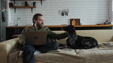 A man is distracted from work or playing on a laptop and caressing his dog Stock Footage 233326783