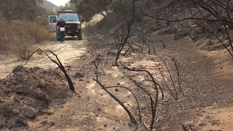 A man distributes blocks of salt to help feed wildlife displaced by the Thomas Vídeo Stock 83505566