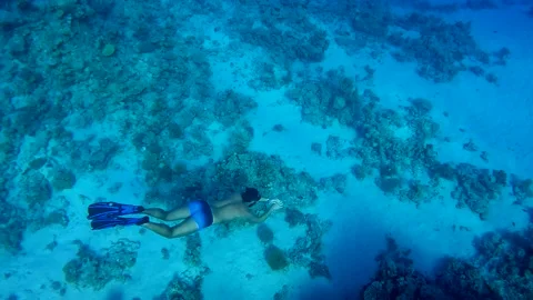 Man dive in a mask deep underwater in the crystal clear water of Red Sea Video stock 186671230
