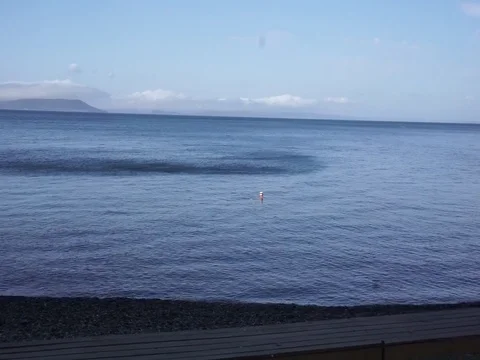 The man dived Vídeo Stock 80825809