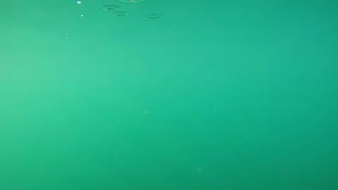 The man dived into the water and emerged Stock Footage 80976232