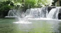 man dives and jumps into the water to celebrate - exult rejoice triumph HD Footage