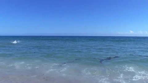 Man dives in ocean Stock Footage 142381819