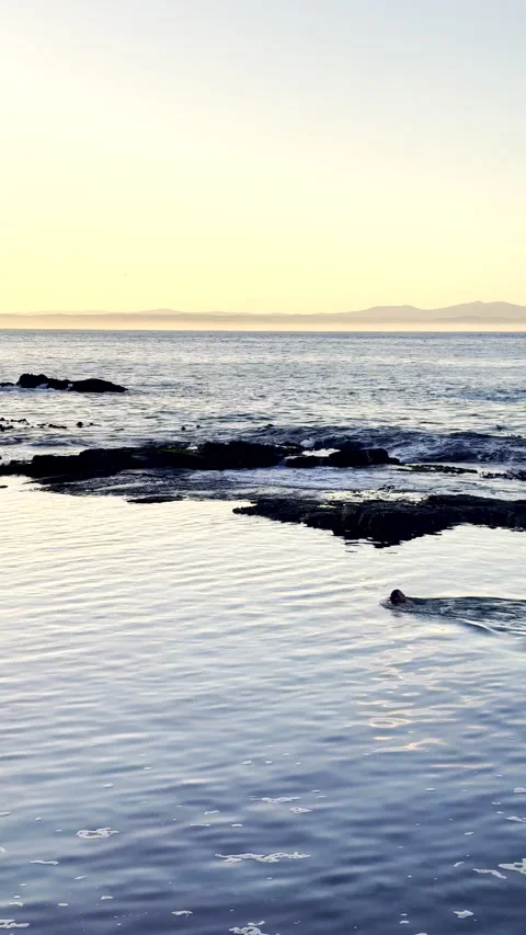 Man dives into ocean tide pool for refreshing early morning plunge Stock Footage 340135137