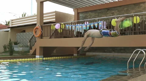 Man dives into the pool. High-delayed and slow motion jump shot. Stock Footage 62899455