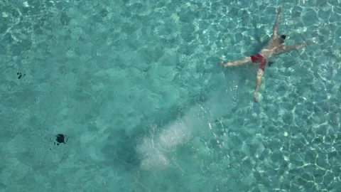 Man Dives Into Pool In Summer Stock Footage 255426413