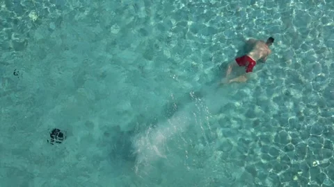 Man Dives Into Pool In Summer Stock Footage 275193030