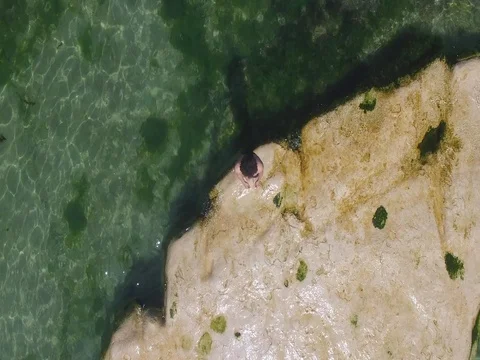 Man Diving and Swimming in Tidal Pool in Kalk Bay, Cape Town Stock Footage 79156752