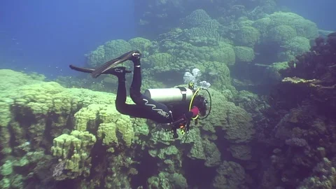 Man diving into clear blue ocean Stock Footage 276363713