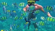Man Diving In Coral Reef .School Of Fish. Underwater Scene. Stock Footage