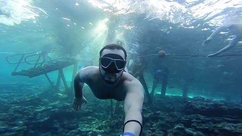 Man diving in coral reef .School of fish. Underwater selfie scene. Stock Footage 103368936