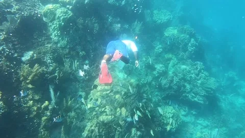 Man diving with fish and feeding them in Cayo Paraiso, Dominican Republic. Video stock 169617769