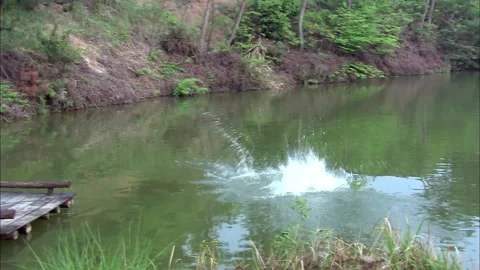 The man diving Stock Footage 235265537