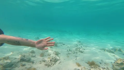 Man in a diving mask swims on the bottom underwater GoPro Hero7 Stock Footage 109100325