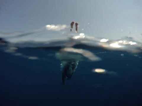Man diving Stock Photos