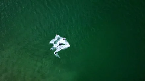 Man diving in plastics having a hard time and choking Stock-Footage 107317063