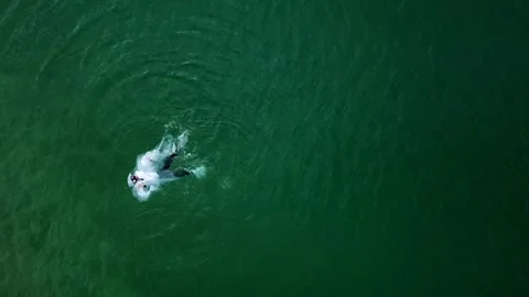 Man diving in plastics having a hard time and choking Stock-Footage 107317094