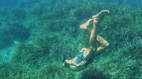 Man diving practicing snorkeling in the sea Stock Footage 164925497