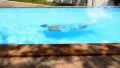 Man Diving in Private Swimming Pool. Blue Azure Water in Luxury Villa. Thailand. HD Footage