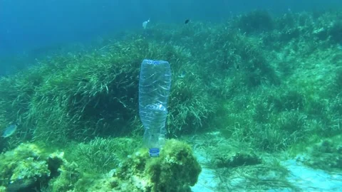 Man diving in the sea collecting garbage and a plastic bottle. Stock Footage 161760896