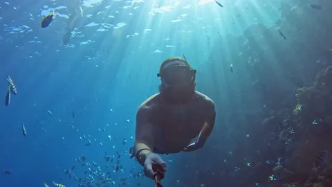 Man diving taking selfie among flock of fish in sea with sun rays through water 스톡 동영상 186670613