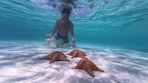 Man Diving Underwater to Observe Starfish in Los Roques Venezuela Stock Footage 342336353
