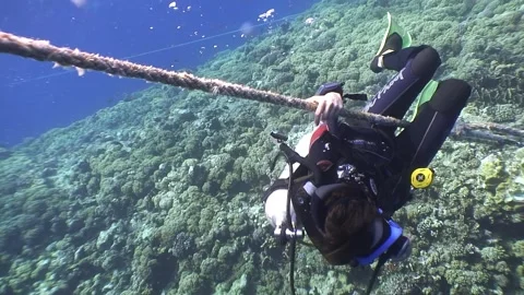 Man diving underwater with rope attached Stock Footage 276220579